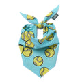 FETCH DOG BANDANA