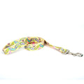 FLIP FLOPS COLLAR AND LEASH SET