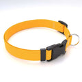 SIMPLE SOLID DOG COLLAR GOLDEN ROD