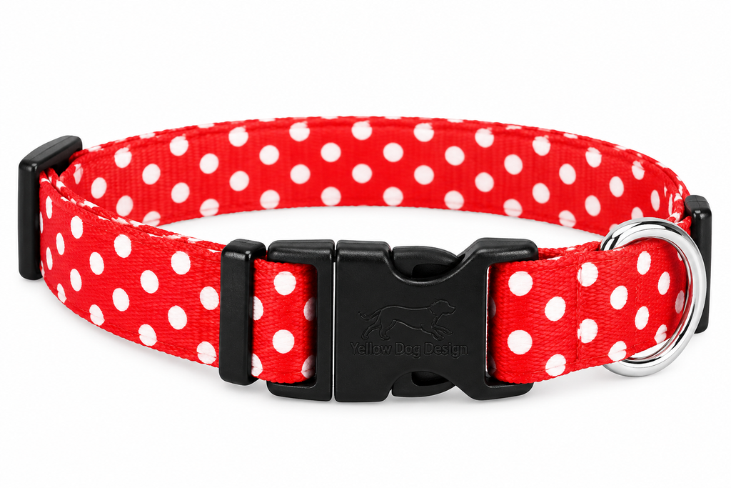 RED POLKA DOTS COLLAR AND LEASH SET