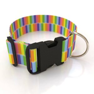 RAINBOW COLLAR AND LEASH SET