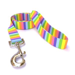 RAINBOW COLLAR AND LEASH SET