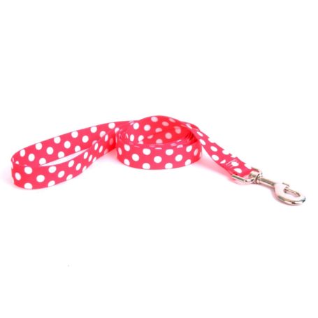 RED POLKA DOTS COLLAR AND LEASH SET